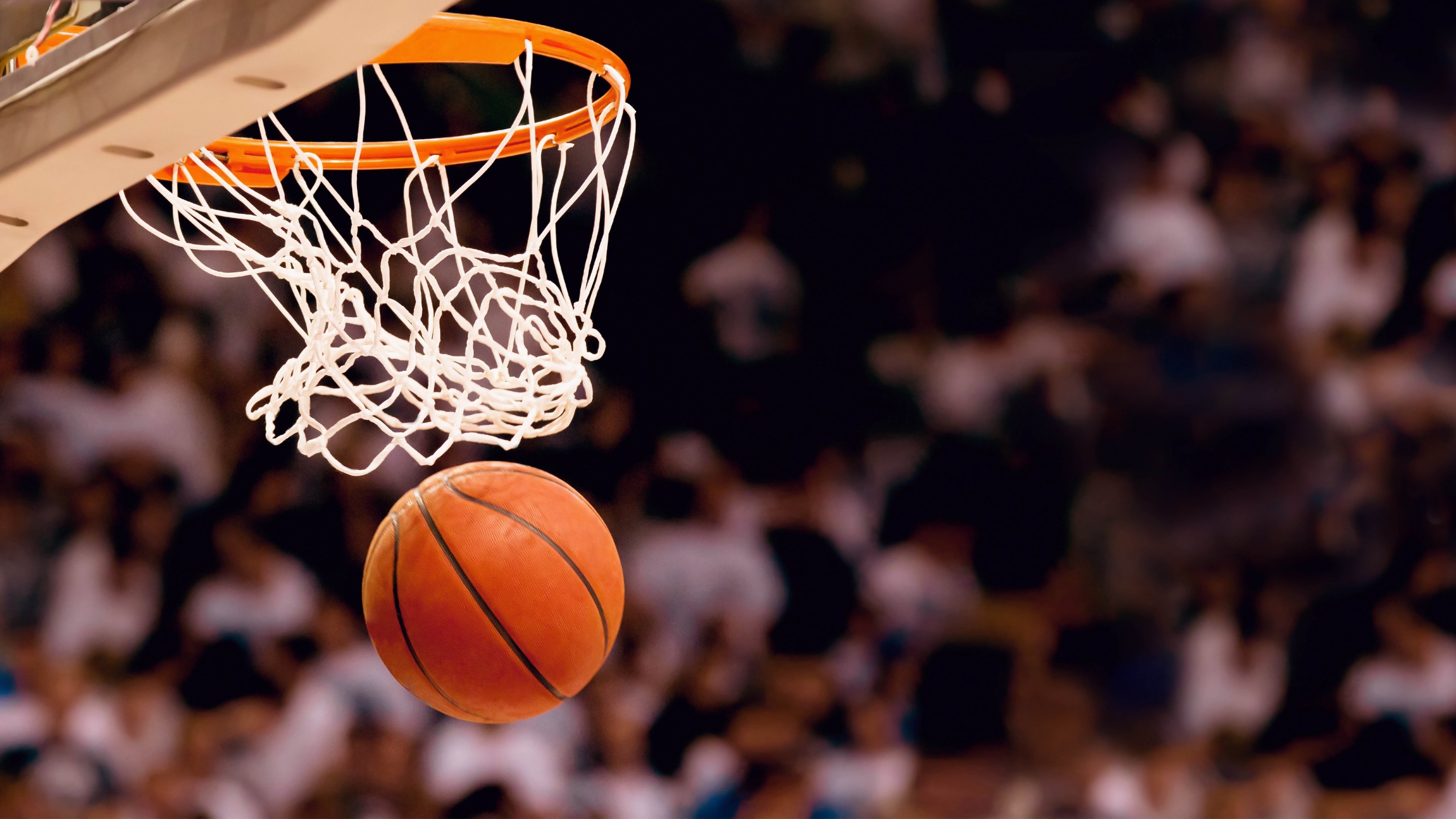 NBA球员训练技术创新应用,nba球员训练技术创新应用研究